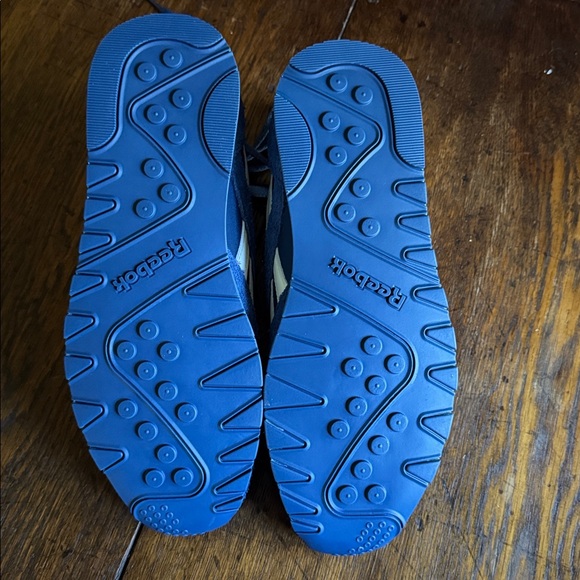 Reebok Classic Nylon X Anine Bing colab main image 9